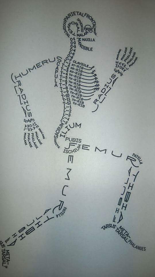 Suenightingale9's tweet photo. @RCNStudents @WeGPNs @WeNurses #loveanatomy https://t.co/KaluoD8Z0K