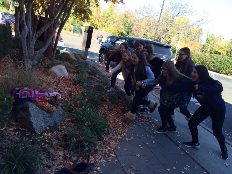 NSRNsiah's tweet photo. WHO'S GONNA WIN THE BEAR?!? come to winter convention 2k15 to find out!! sign ups close in one week!! https://t.co/l9y0ermi5v