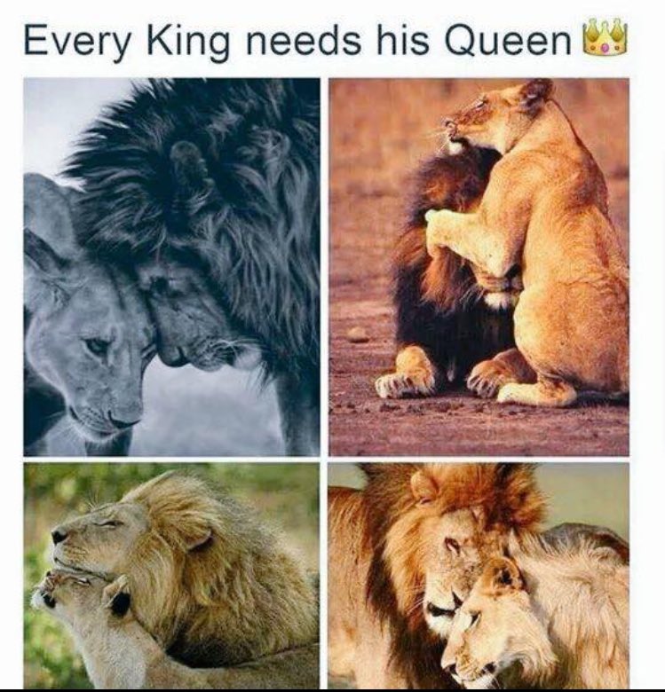 Irmihu's tweet photo. You better believe it!
#HebrewKings #HebrewQueens https://t.co/rwjaxpBbTh