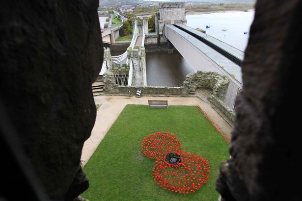 PoppyWorkshops's tweet image. #RemembranceSunday