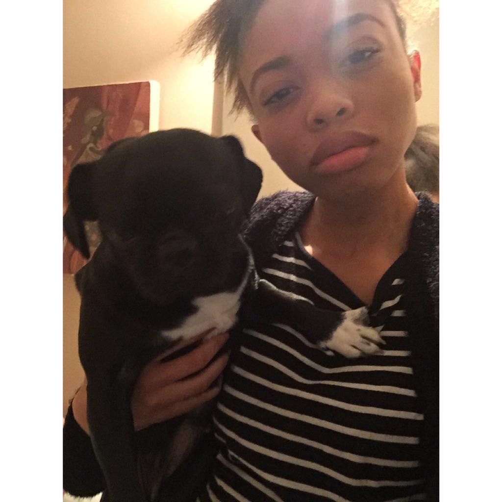 theMaryeliza's tweet photo. When your sisters dog doesn't want to Pug with you 😓 https://t.co/hcUUHufgPF