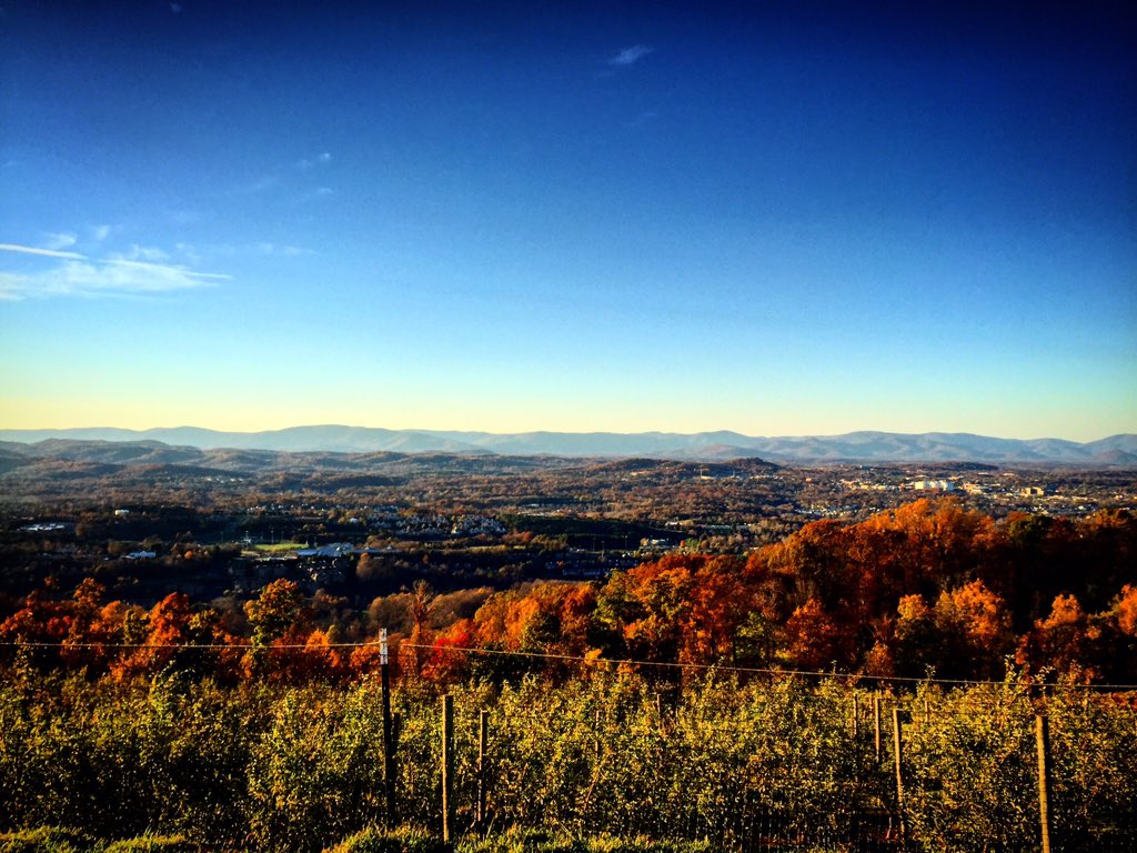 Apple picking. Or just enjoying the view. <a href="/JoanieVas/">Joanie Vasiliadis</a> <a href="/wusa9/">WUSA9</a> <a href="/CarterMountain/">Carter Mountain Orchard</a> 🍎🍏