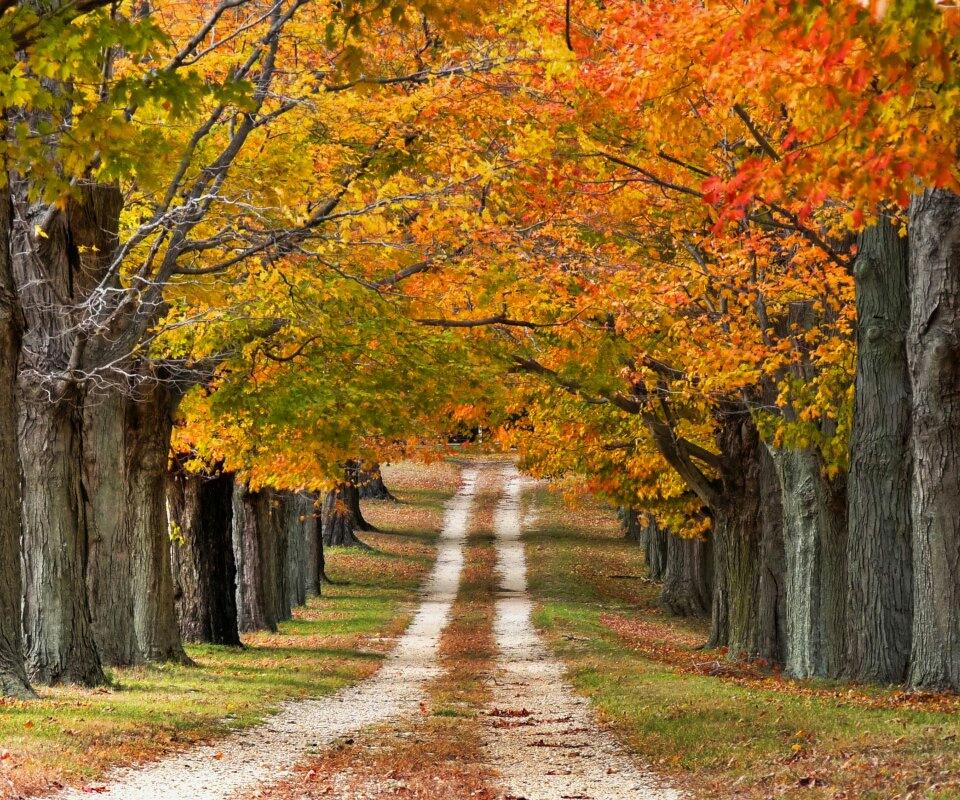 GaaPss1's tweet photo. How beautiful nature
#Love_Forever https://t.co/ygjmXJBqlr