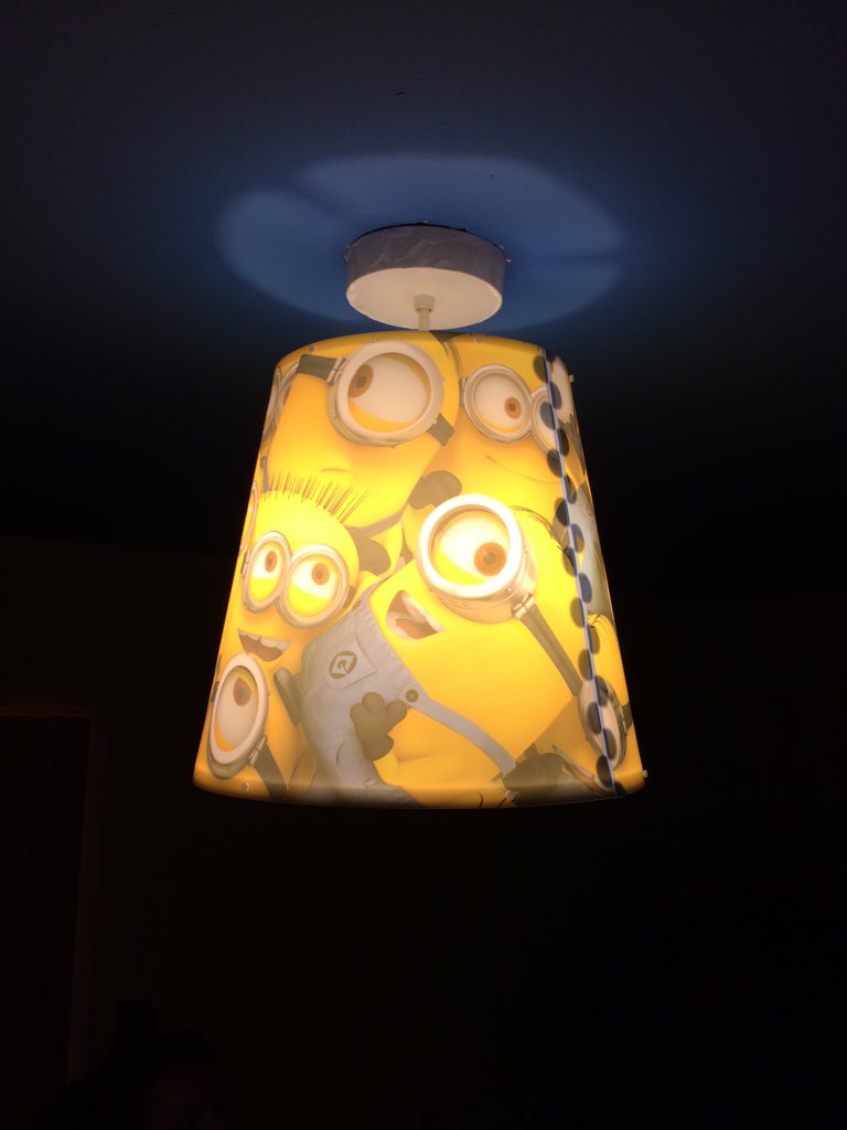 WFreeman855's tweet image. So tired after a busy weekends decorating. Hope my boy still likes minions!!