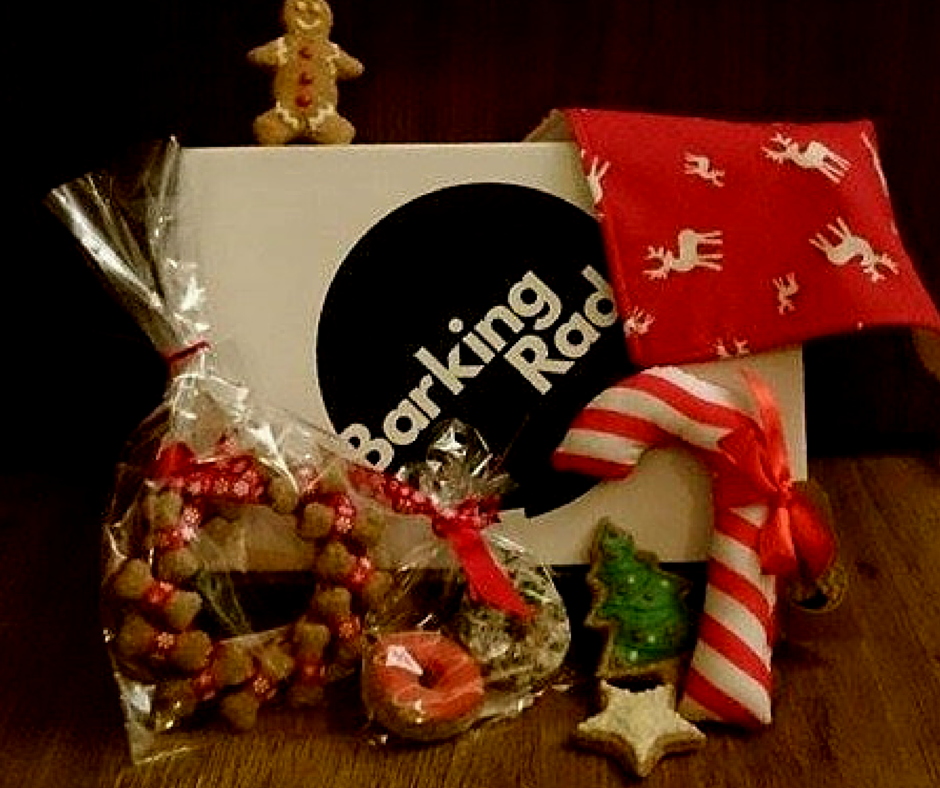Barking_Rad's tweet photo. Like to bag your dog a #BarkingRad #Xmas box? Follow and RT to enter our #comp. T&amp;C's apply https://t.co/ElsLP8mOLT https://t.co/timMCNNyll