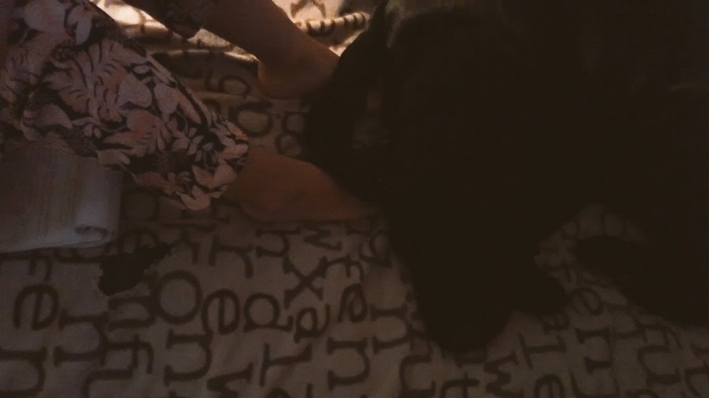 sol ponte tweet media