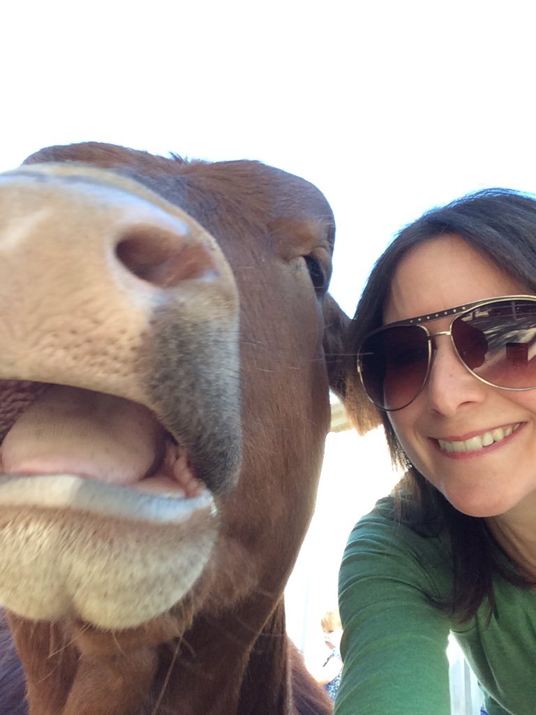 ajbw3a's tweet photo. @GentleBarn thank you for all you do. Best way to spend a Sunday ever https://t.co/6lh11S1tH2