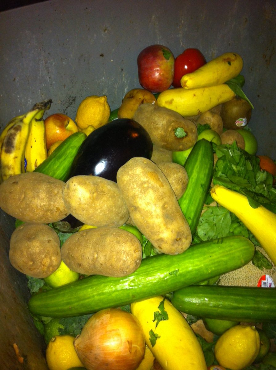 Cate Mingoya tweet media