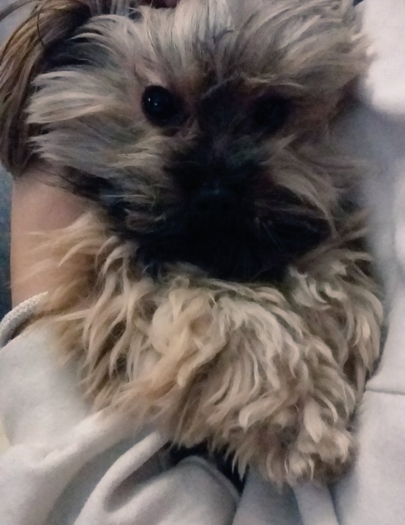 MariaAlcaraz5's tweet photo. Cuando te acuerdas de que mañana es Lunes...  😨😅 https://t.co/Pc98NA2IqX