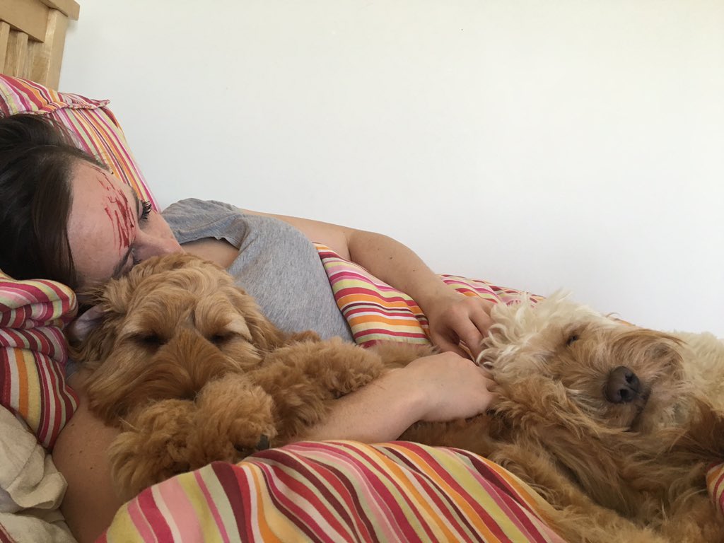 The_Chef_1990's tweet photo. #YourCosyPets https://t.co/cBzXYlfgkZ