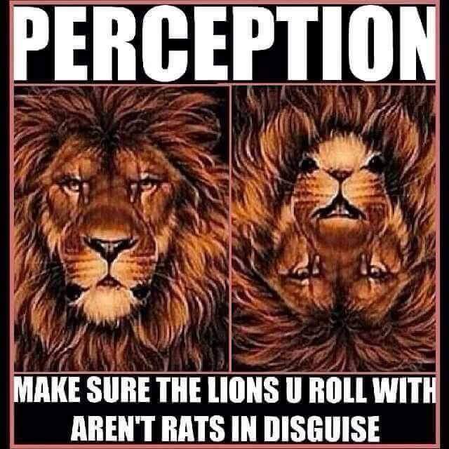gregory_jn's tweet photo. https://t.co/fgcPmqneJE