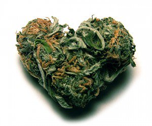 HIGH_TIMES_Mag's tweet image. Study: Love Hormone Explains Why Weed Makes Us Friendlier. bit.ly/20ulfcD