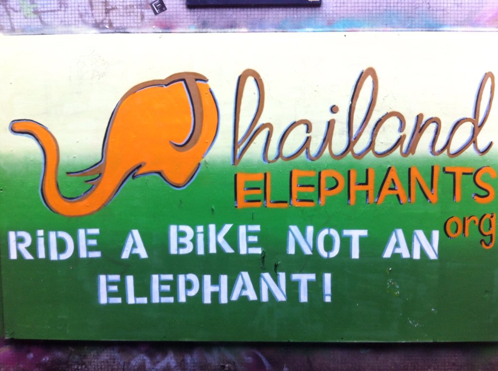 Claire_Horton's tweet image. @ThailandElephan #rideabikenotanelephant