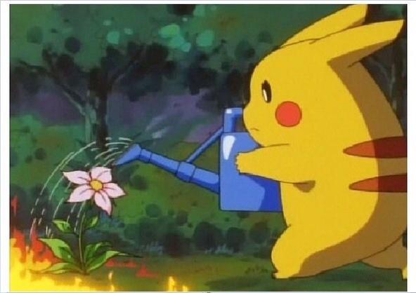 Wizard_Shack's tweet image. Yeah grow dat shit pika!! youtu.be/0YG4nxmum_g?a   #pokemonhowto #pokemon #pokemonhelp #pokemontweets