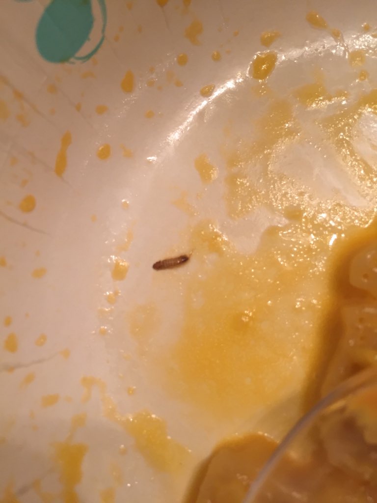 CaseyMStark's tweet photo. @kraftfoods just found a maggot in my Mac and cheese. Definitely won't be buying this for a long time. https://t.co/jY1Zu6D4Gs