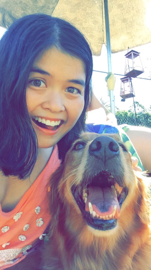 sarbear300's tweet photo. This pup is such a sweetie!!!😊💜🐶 https://t.co/iaOedgTt05
