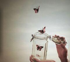 simasgu's tweet image. 