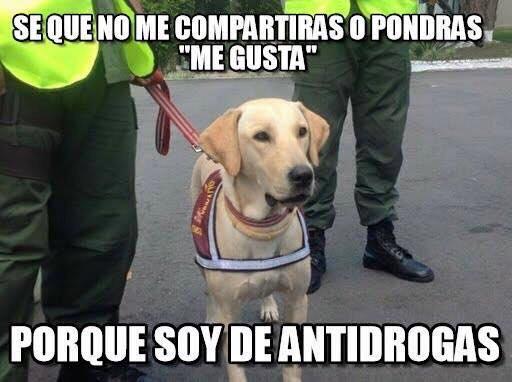 ULVR_Dice's tweet photo. Cuando tienes un pana triquero. https://t.co/Ueo17ErgRB