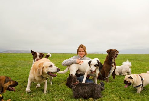 samadovaabditch's tweet photo. 27 Ways Pets Can Improve Your Health. Look for this slideshow #WebMed https://t.co/Sh9RxJMPyB