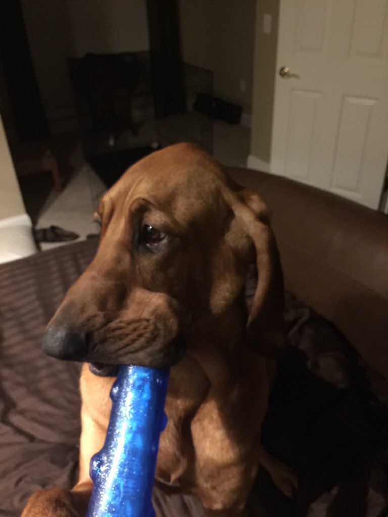 JimSichko's tweet photo. #graciemariecharlsey remember Officer Ellis as she plays with her BLUE baton-- https://t.co/Y9WHrddReb