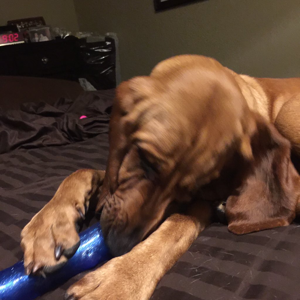 JimSichko's tweet photo. #graciemariecharlsey remember Officer Ellis as she plays with her BLUE baton-- https://t.co/Y9WHrddReb