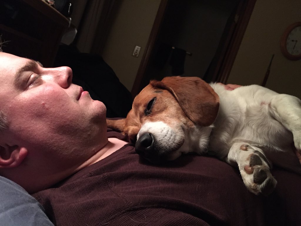 TaterBagle's tweet photo. Snooooozin' on Papa's chest. https://t.co/3GOGxWuYYP