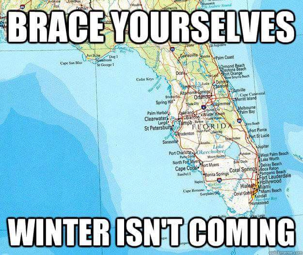 SayraWalters's tweet photo. Noooo! What is going on??? 90 degrees days in November! I need to fly north for the winter haha! #floridaproblems https://t.co/UJIW10ibZm