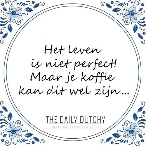 The Daily Dutchy tweet media