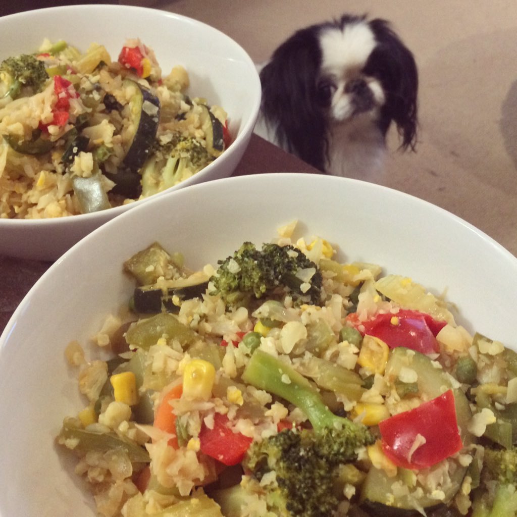 jivebong's tweet photo. Even dogs lust over Cauliflower rice 😉🐶 #paleodogs #paleolife https://t.co/SGim5cRpUT