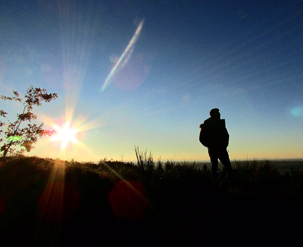 Redpathart's tweet image. #Autumn #Baum #sunny