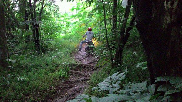 RotomAut's tweet image. any obstacles can definitely be passed, keep spirit mate! #rotomautjourney  #adventure #backtonature