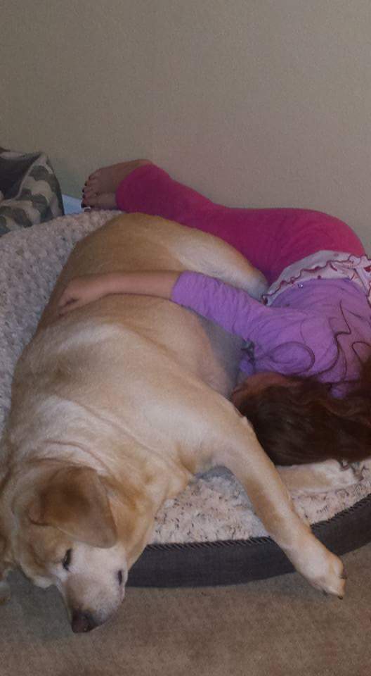 OADMawk's tweet photo. My 6 year old daughter and my 6yr old lab #Gemma&amp;Jake https://t.co/hqp34VX5EA