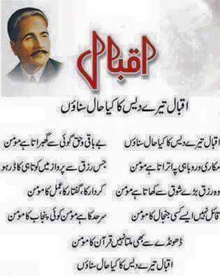 ArifaAbbasi's tweet image. Happy #iqbal day to #all. ..... #slute to the #world's #greatest #poet