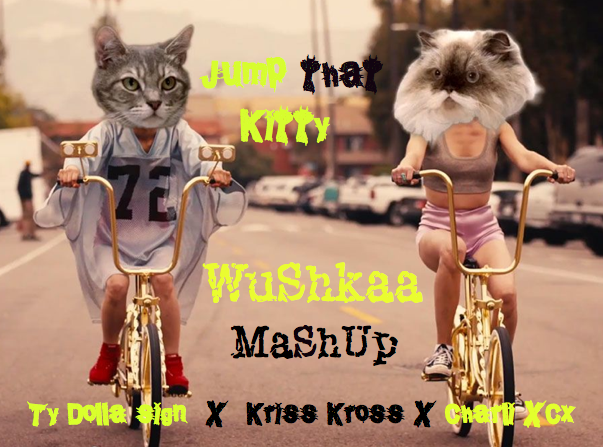 Time to Drop that Kitty … New MaShUP #Trap #mashup #TyDolla$ign #krisskross #charlixcx … soundcloud.com/dj-wushkaa/ty-…