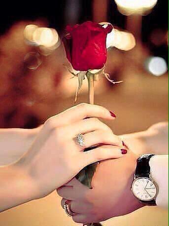 Malik Abdul Waheed (@malikab07767011) on Twitter photo 