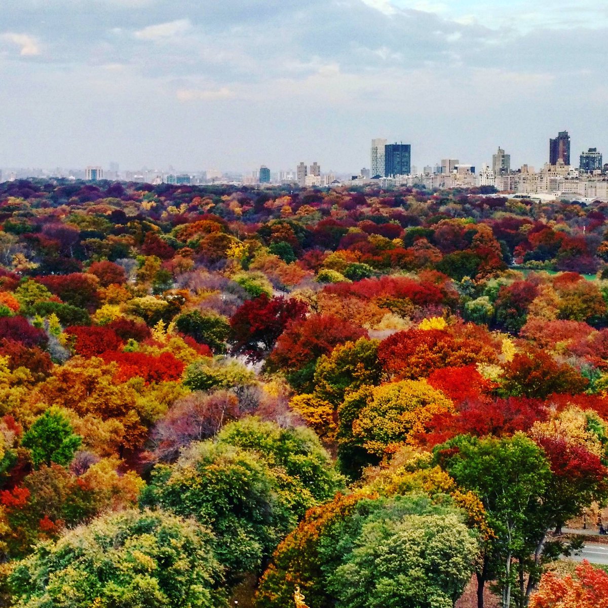 aviasales's tweet image. Все оттенки Центрального парка, Нью-Йорк.