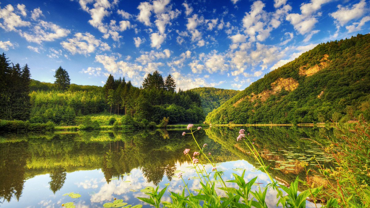 AlinaDal_F's tweet photo. A cloudless plain blue sky is like a flowerless garden.
T.Guillemets https://t.co/yYjJ099lss