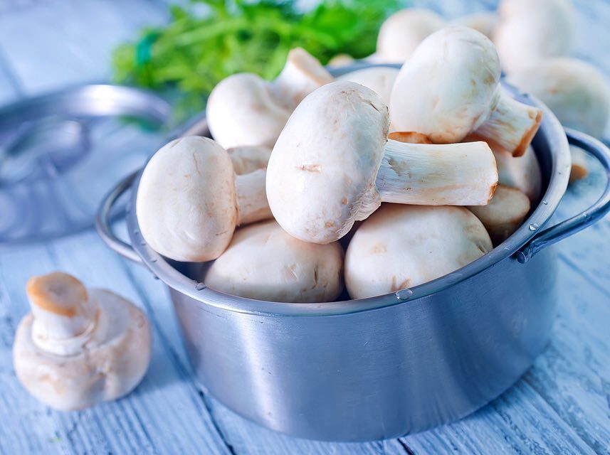 This month, the SPOTLIGHT is on the button mushroom variety. Buttons are the youngest and generally the smallest. T…