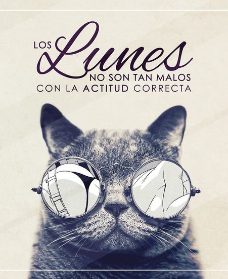 maquillalia's tweet photo. Sólo hay que buscar la actitud correcta chicas... jajajaj
¡Buenos días! https://t.co/HCzPqO3kYJ