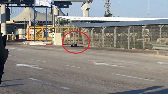 iFalasteen's tweet photo. The innocent girl who was shot by #IOF near Qalqilya is Rasha Oweisi 23 year old she bleed to death. #intifadaAlAqsa https://t.co/rDShoLBtrW