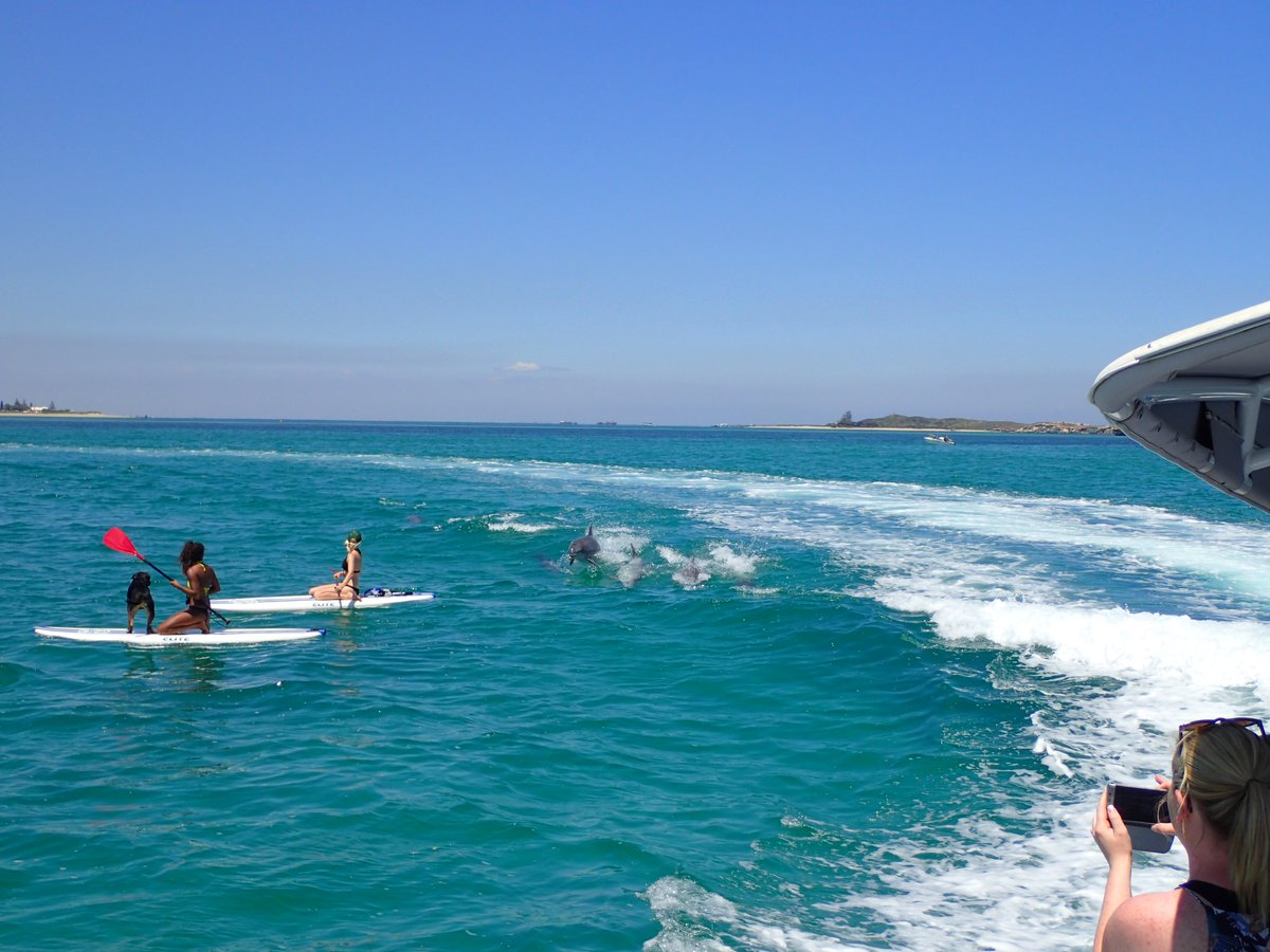 Rockingham Wild tweet media