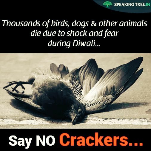 qwerty0987665's tweet photo. Save the life.     ......   🙌 https://t.co/E0kTEo2BaK