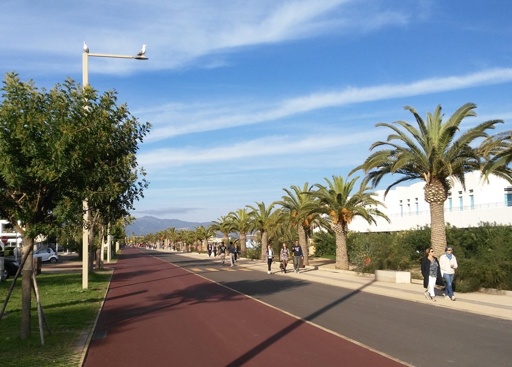 Comune_Cagliari's tweet photo. Poetto. Da oggi resina colorata su pista ciclabile e runner. Una raccomandazione https://t.co/vcoUERGgdV #cagliari https://t.co/O5F4Mv1qK5