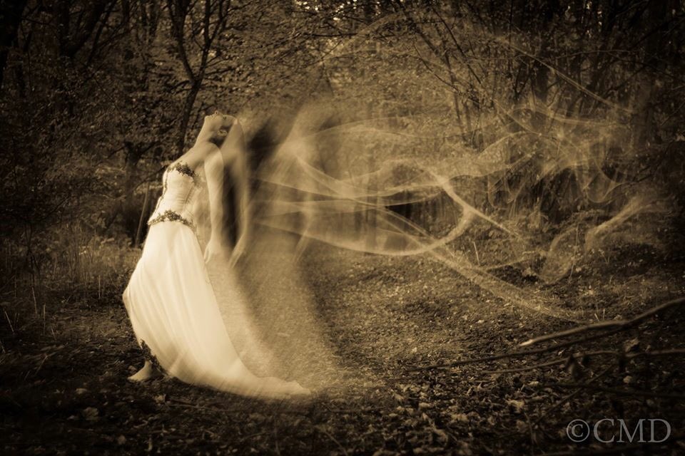 Mina Fox (@minabatlove) on Twitter photo 