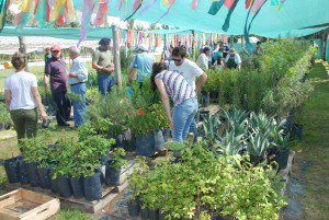 La Agrotécnica abrió sus tranqueras a la comunidad elorden.com/la-agrotecnica…