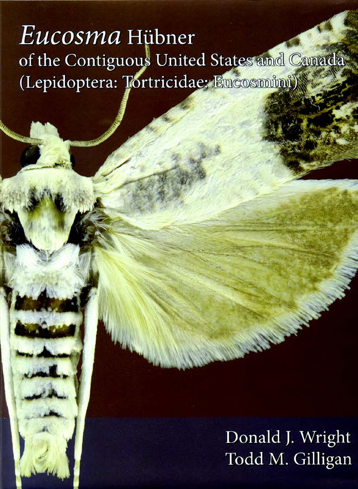 NotaLepido's tweet photo. Extensive study on #leafroller #moth genus culminates in a book, revealing 9 new species https://t.co/UCin0I8Cwq https://t.co/Ji7ygGXVzd