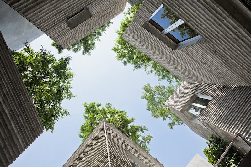 TreesforCities's tweet photo. These are just some of the amazing benefits of #UrbanTrees https://t.co/XCcmAYYpD0 https://t.co/EdSobPrwF0