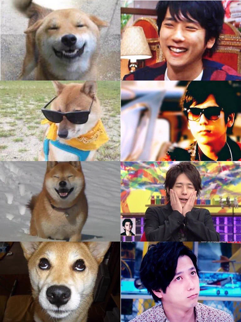 「柴犬」と「二宮和也」の親和性に着目したハッシュタグが超話題！！