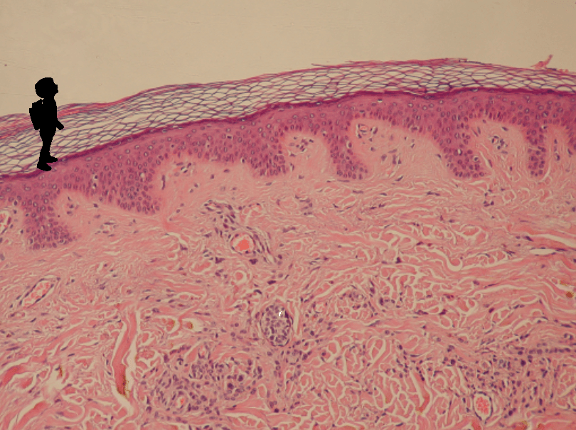 BubbasWest's tweet image. The buzzing bubbawest.com/the-buzzing/