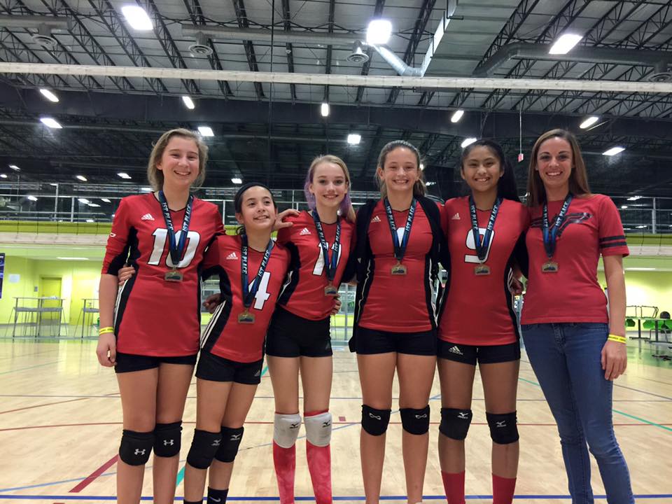 Beach Elite tweet media